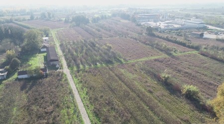Düzce'de "Tıbbi Aromatik Bitki Yetiştiriciliği hayat buluyor"