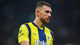 Edin Dzeko, Fiorentinada
