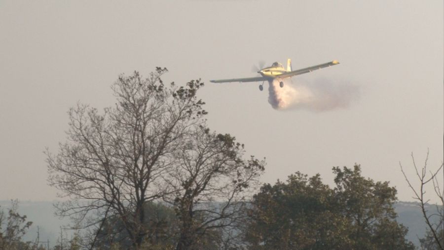 Edirne'de büyük orman yangını 3 köyde aniden başladı