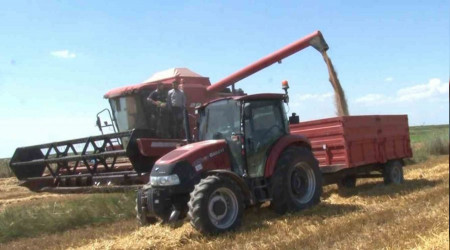 Edirne'de ilk buğday hasadı yapıldı
