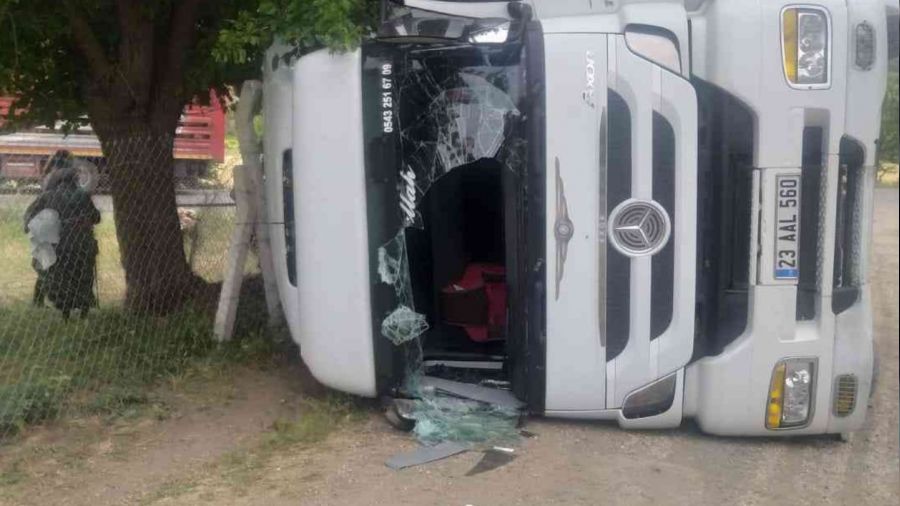 Elaz��'da hayvan y�kl� t�r yan yatt�, 170 hayvan telef oldu