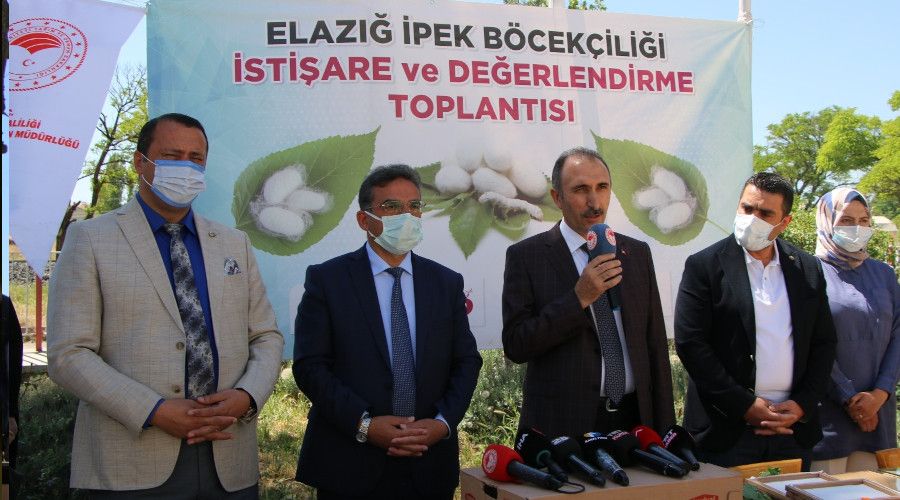 Elazığ'da ipek böcekçiliği yeniden canlanıyor