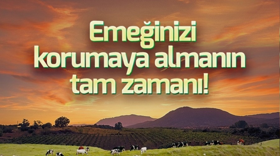 'Emeğinizi koruma altına almanın tam zamanı'