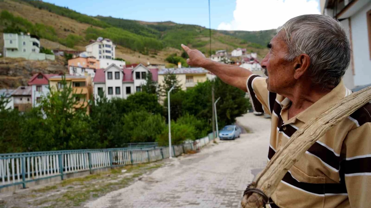 Emekli retmen diktii 4 bin fidanla kyn yeillendirdi