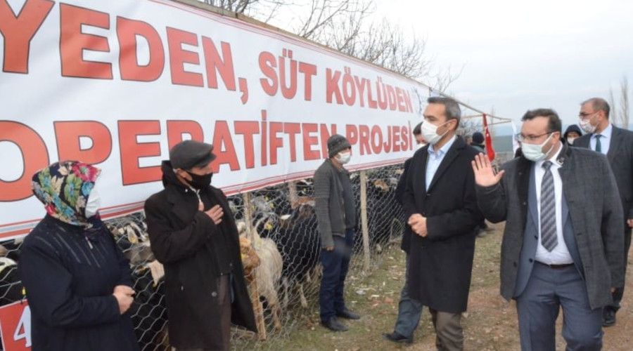 Emet'te 'Ke�i peyniri' projesi