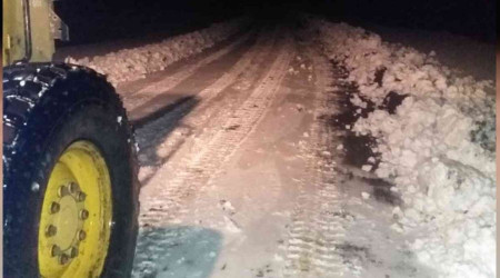 Erciş'in yüksek kesimlerine kar yağdı