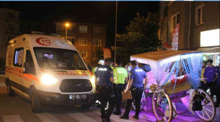 Fayton gezisinde faciaya ramak kaldı: 2'si çocuk 5 kişi ölümden döndü