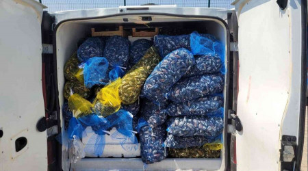 Fethiye'de 146 kasa su ürünlerine el koyuldu
