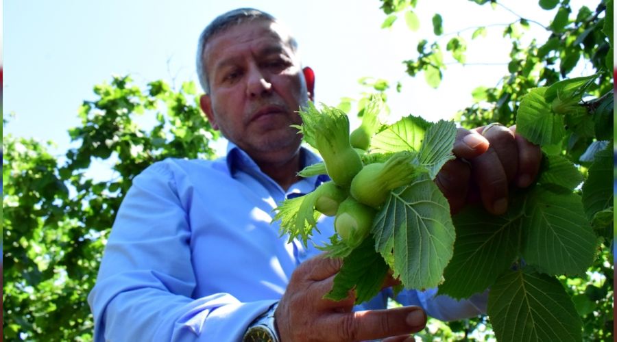 F�nd�k fiyat� 30 TL olmal�