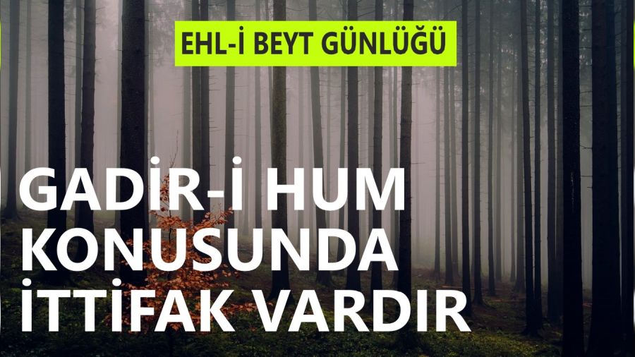 Gadir-i Hum konusunda ittifak vardır