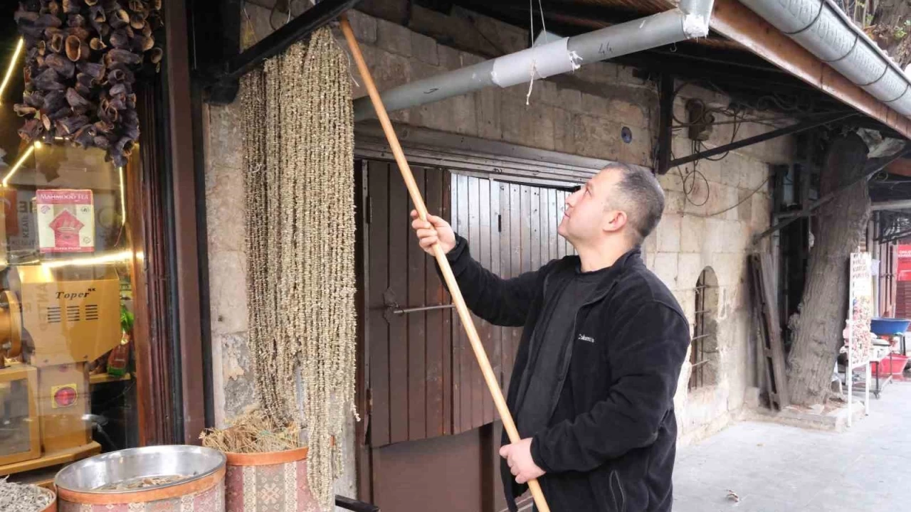 Gaziantep'te kuru bamya 2 bin TL'den tezgahta