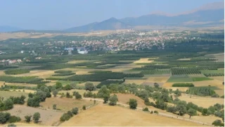 Gelendost tar�m�nda gelecek m�cadelesi