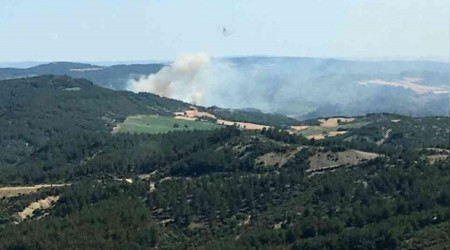 Gelibolu'daki orman yangını büyümeden söndürüldü
