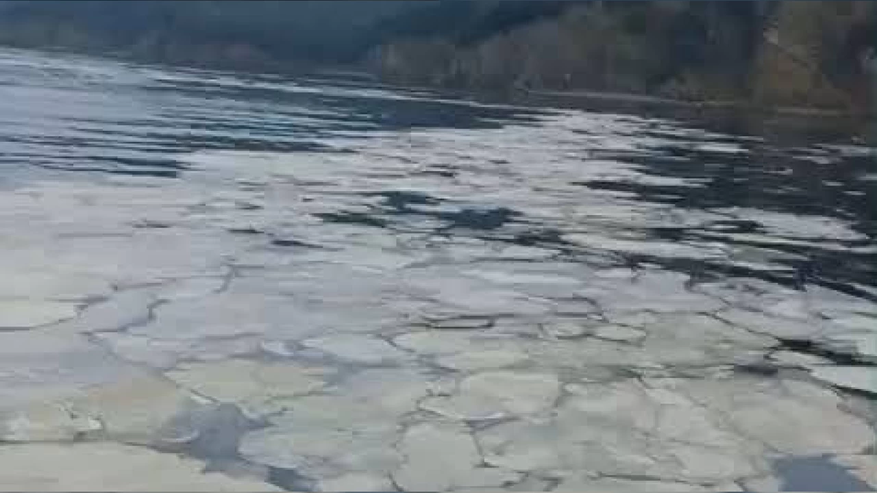Gemlik Körfezi'nde müsilaj kabusu