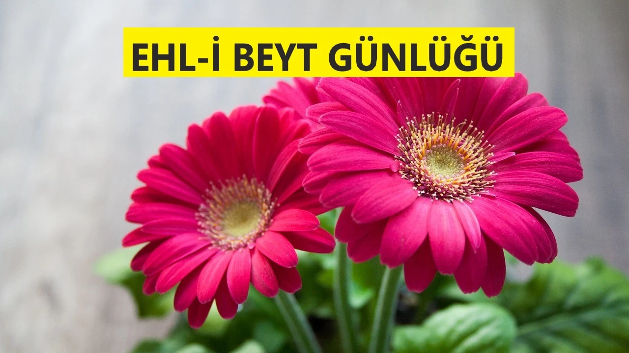 'Gerçekte dini küçümsemenizden korkuyorum'