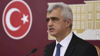 Gergerliolu, mamolu'nun tutuklanmasn eletirdi