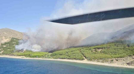 Gökçeada'da orman yangını