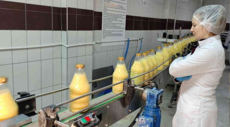 Günde 60 ton üretiyor