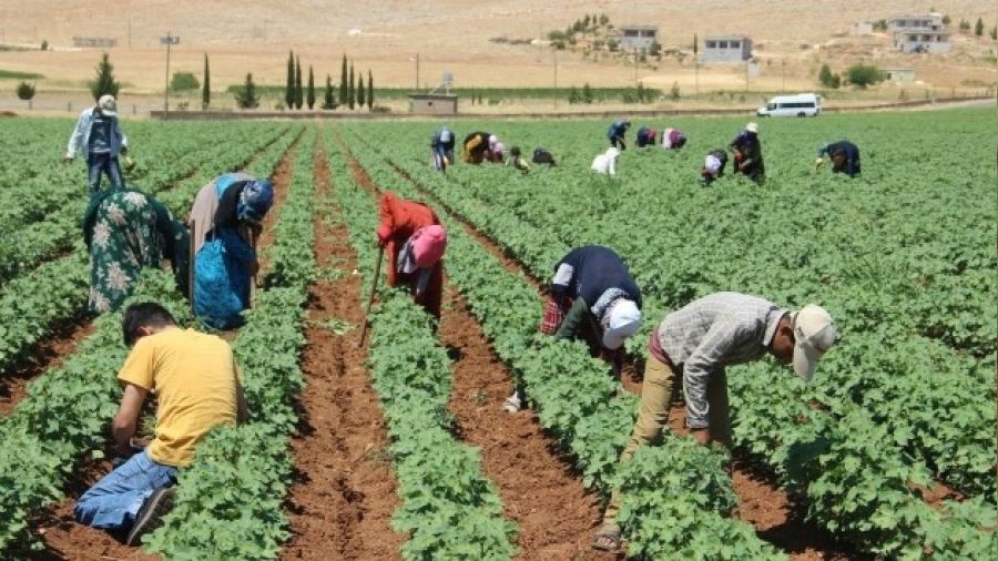 Güneşte çalışanlar, terleme azalıyorsa dikkat