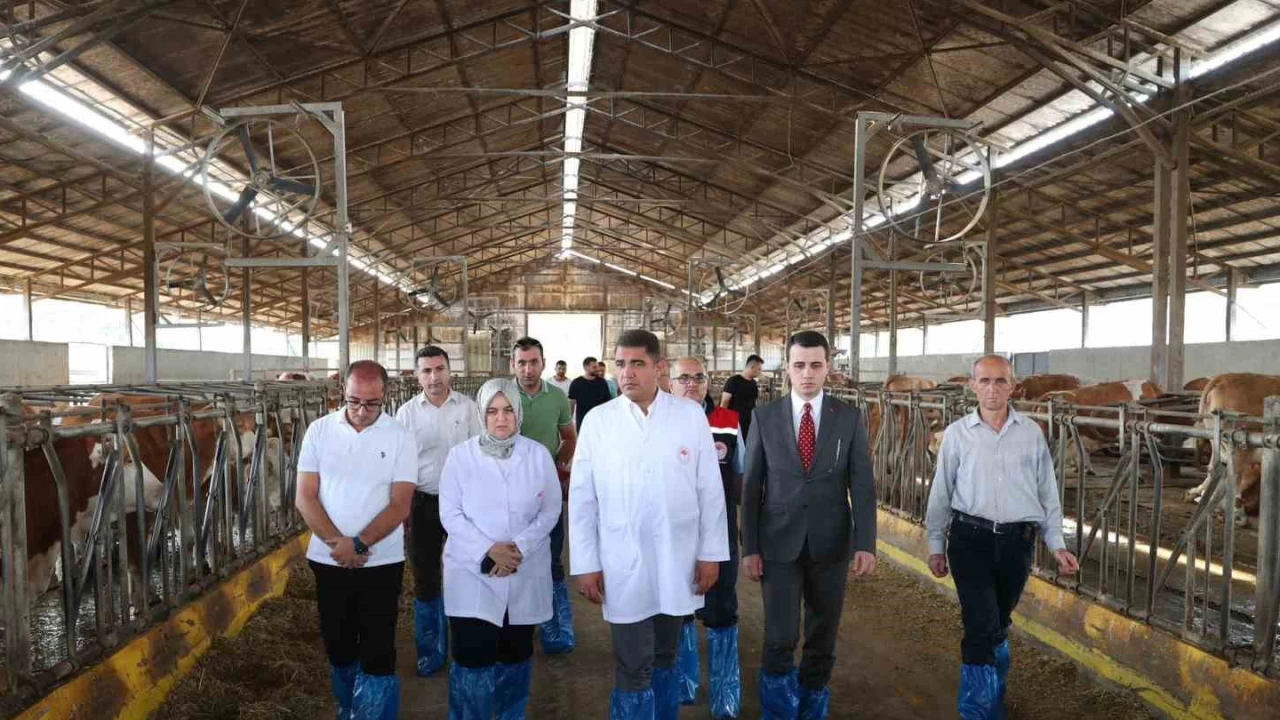 G�nl�k 5 ton s�t �retimi yap�yor