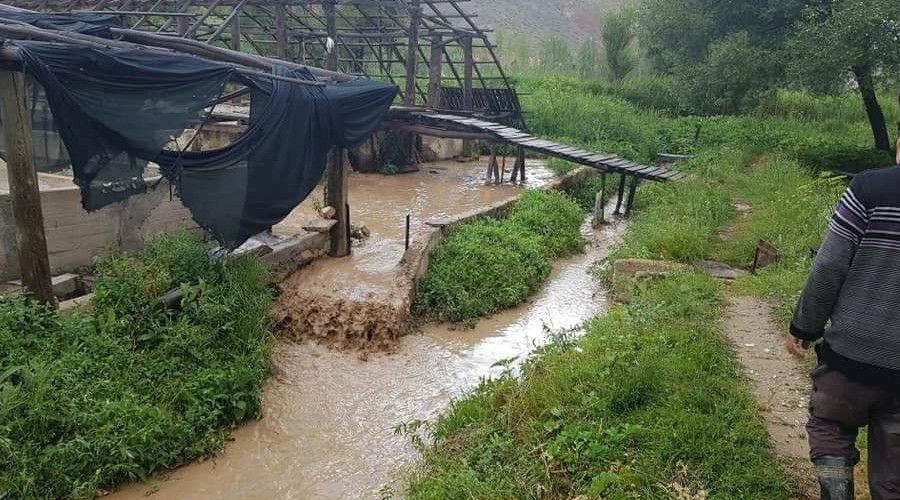 G�r�n'de sel, tonlarca alabal�k kay�p