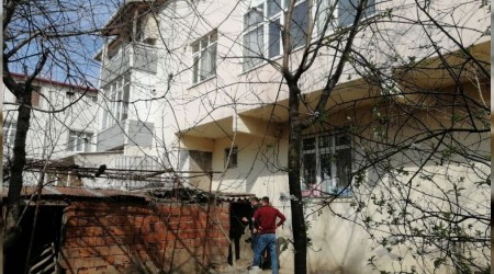 Güvercin merakı hayatından etti
