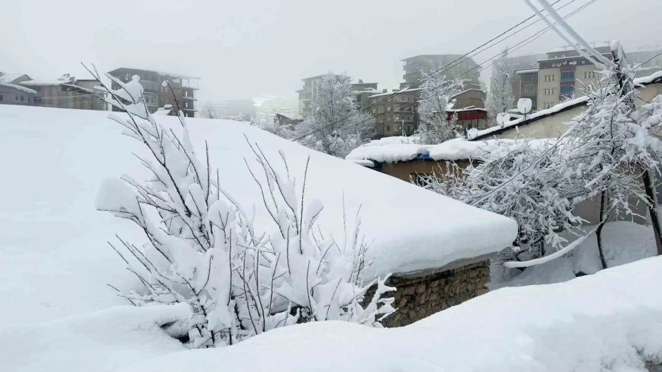 Hakkari'de kar afeti: Ekipler aral�ks�z �al���yor