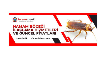 Hamam böceği ilaçlama