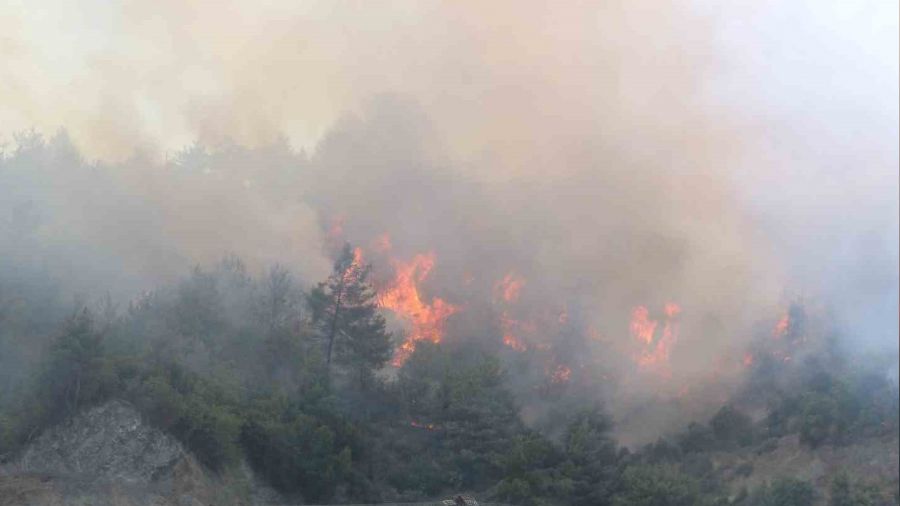 Hatay'da orman yang�n�; havadan ve karadan m�dahale ba�lad�