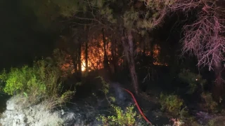 Hatay'da orman yangını kontrol altına alındı
