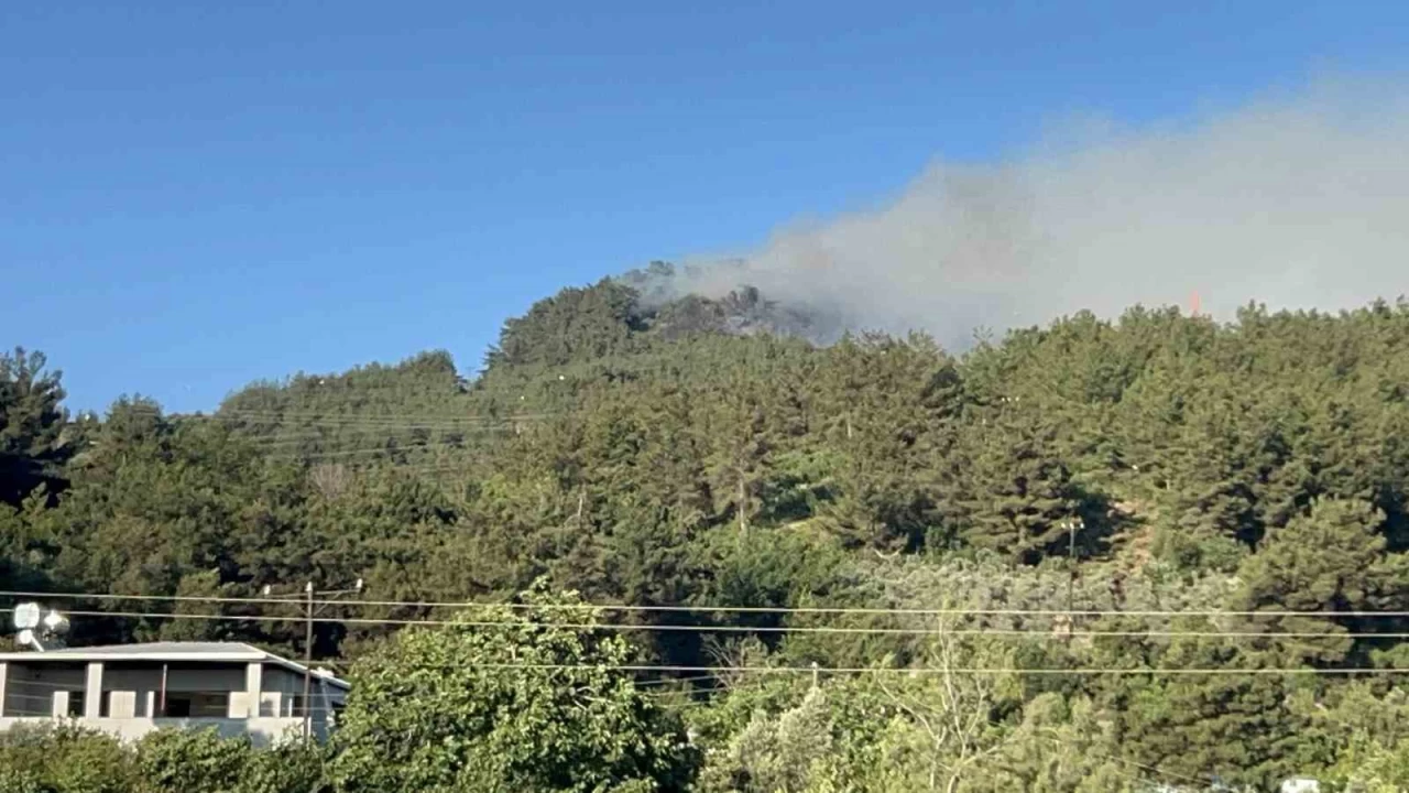 Hatay'da orman yangınına havadan ve karadan müdahale sürüyor