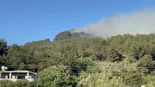 Hatay'da orman yangnna havadan ve karadan mdahale sryor