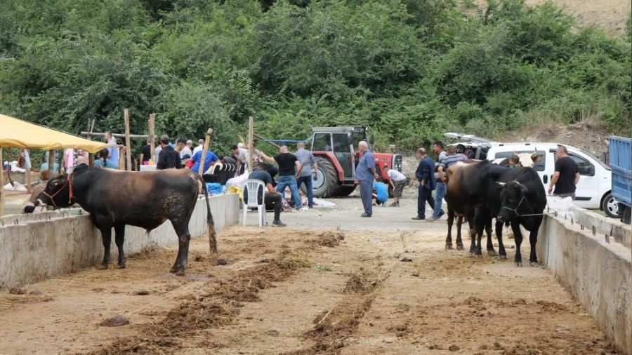 Hayvancılıkta 'Sözleşmeli Besicilik' dönemi