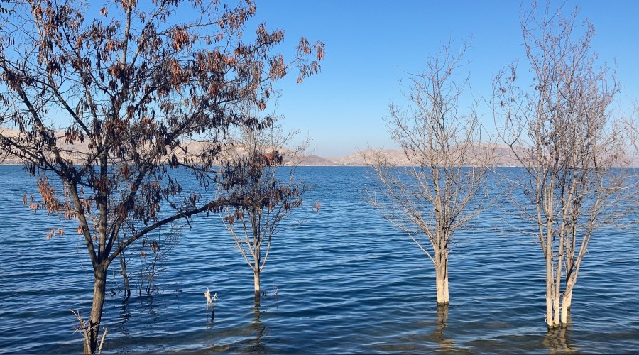 Hazar’da su seviyesi yükseldi