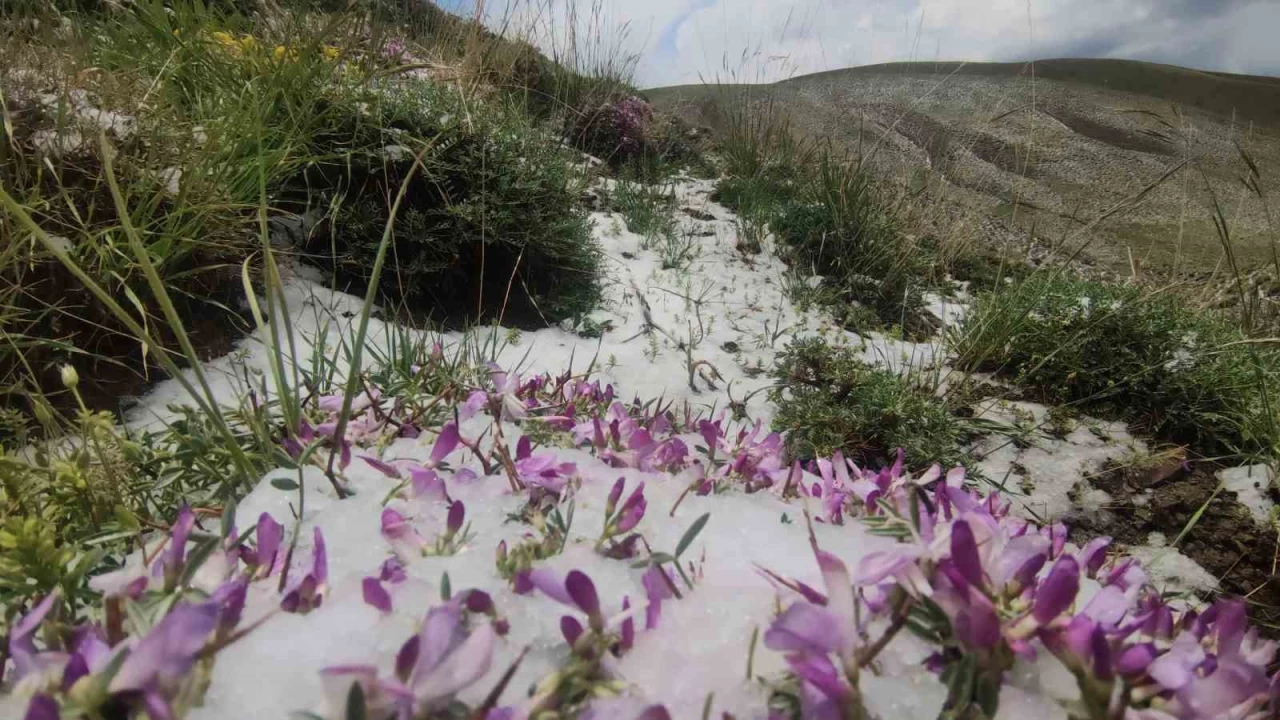 Haziran ay�nda kar s�rprizi: Erek Da��'n�n etekleri beyaza b�r�nd�