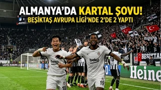 Hoffenhe�m: 2 � Be�ikta�: 3