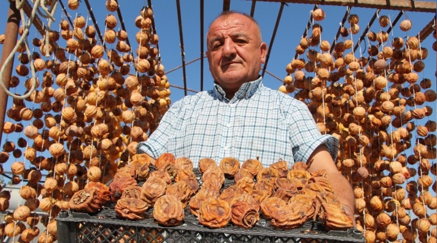 Hurma 3 haftada şifa dolusu lezzete dönüşüyor