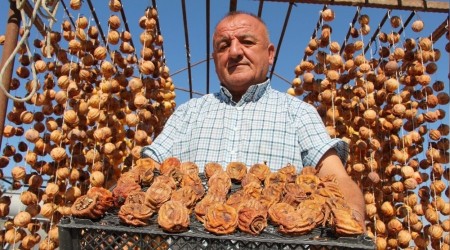 Hurma 3 haftada şifa dolusu lezzete dönüşüyor