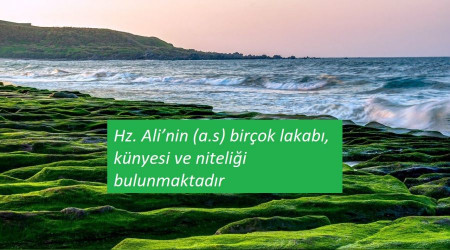 Hz. Alinin birok lakab ve knyesi bulunmaktadr