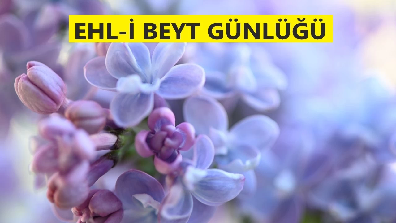 Hz. Ali’nin yolu apaydınlıktır