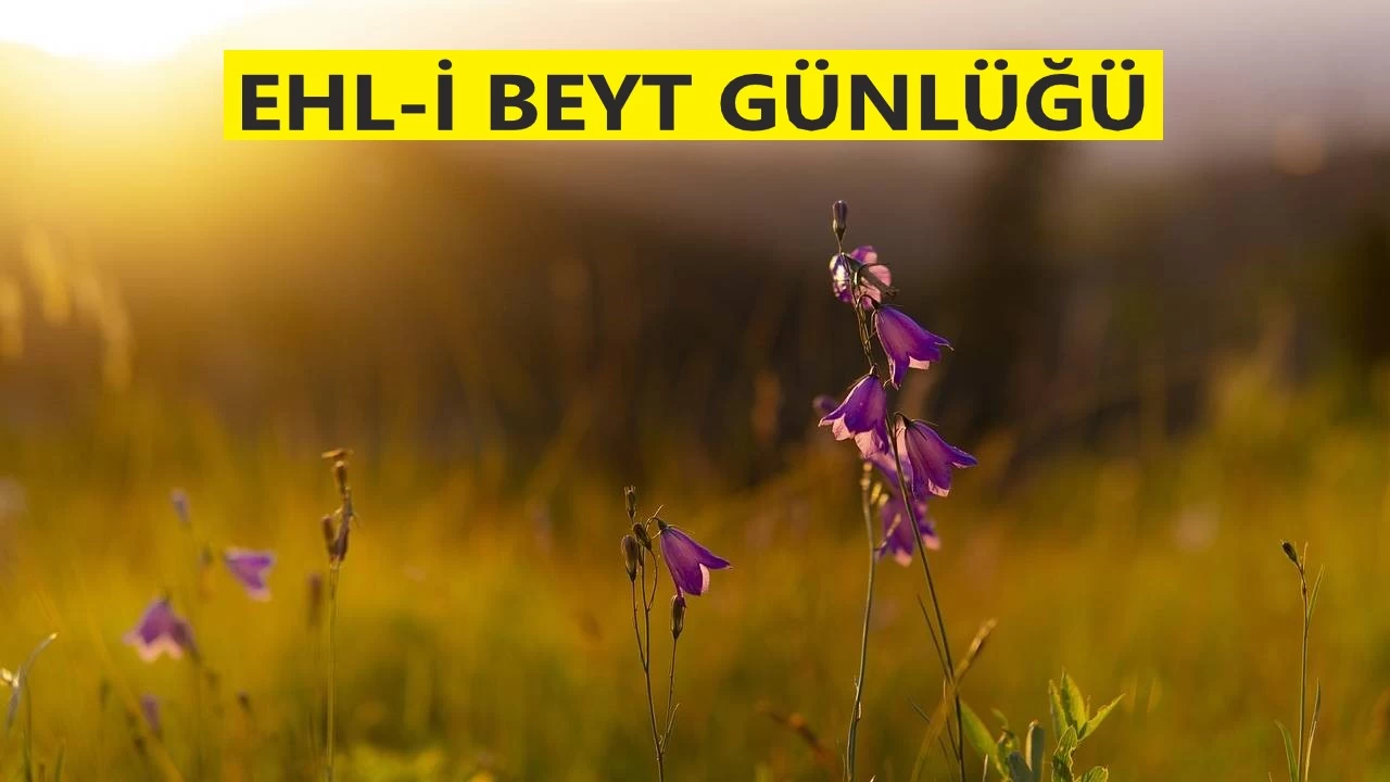 Hz. Ali�yi (a.s.) Res�lullah terbiye etti