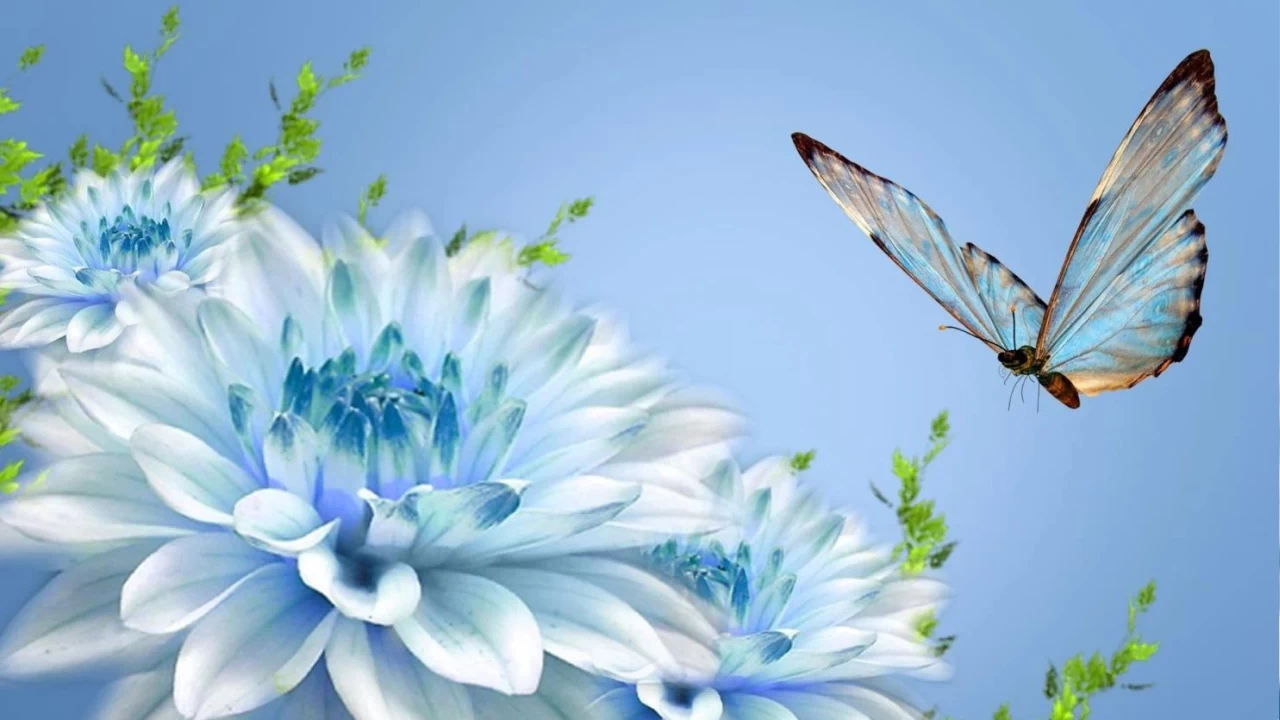 Hz. Zeyneb�in do�umu ve s�fatlar�