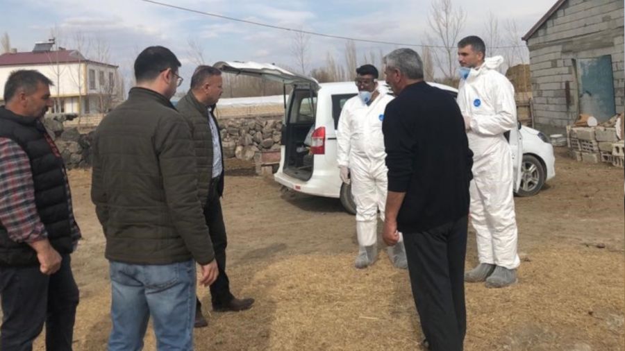 I�d�r'da �ap a��s� devam diyor