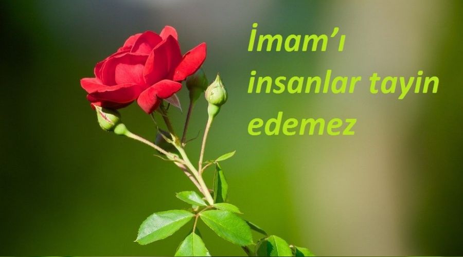 ‘İmam’ı insanlar tayin edemez’