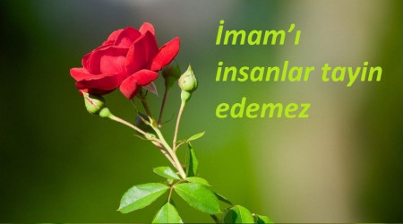 ‘İmam’ı insanlar tayin edemez’