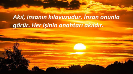‘İnsan, akıl ile olgunlaşır’