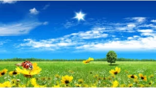 İnsan madde ve mana yönüyle bir bütündür