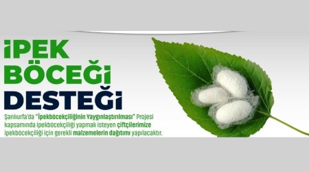 ipek böcekçiliğinin yaygınlaştırılmasına destek