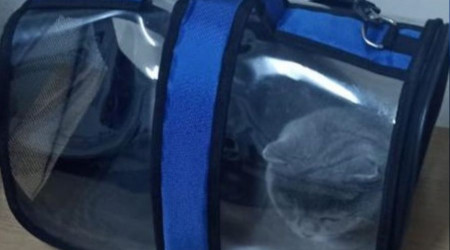 Isparta'da çalınan 2 köpek ve 1 kedi HAYDİ ekipleri tarafından bulundu