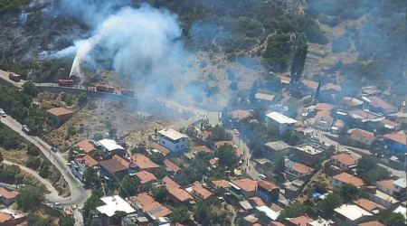 İzmir Kemalpaşa'da orman yangını